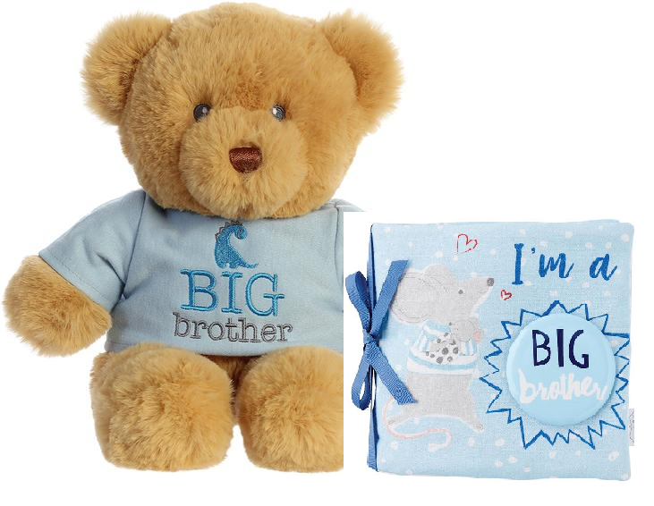Big Brother Soft Book & Bear Set