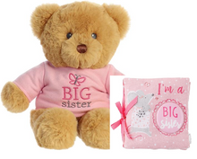 Load image into Gallery viewer, Big Sister Soft Book &amp; Bear Set
